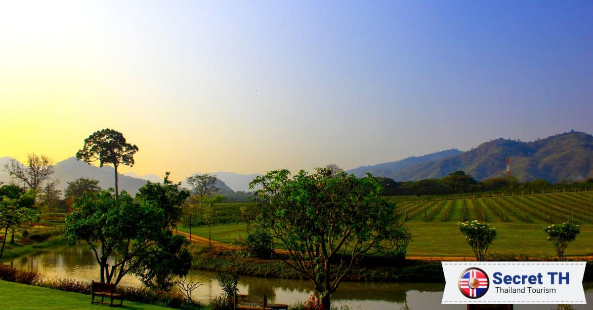 11. Khao Yai Winery