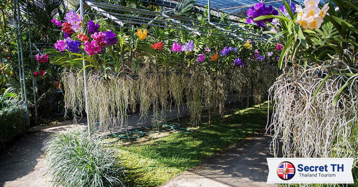12. Bai Orchid & Butterfly Farm