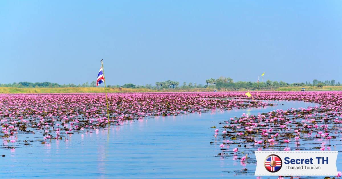 XVI. Udon Thani