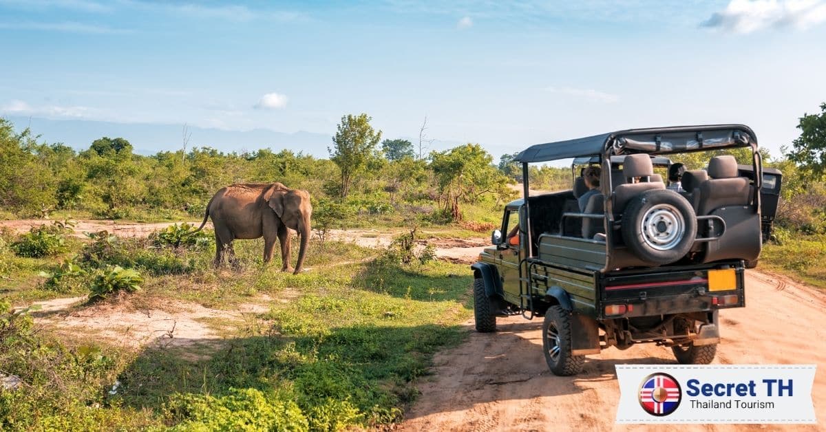 The Thrill of Jungle Safaris, Kayaking, and Bird-spotting