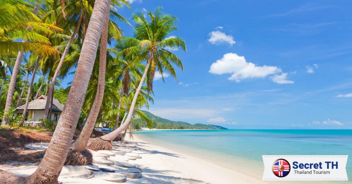 19. Koh Samui