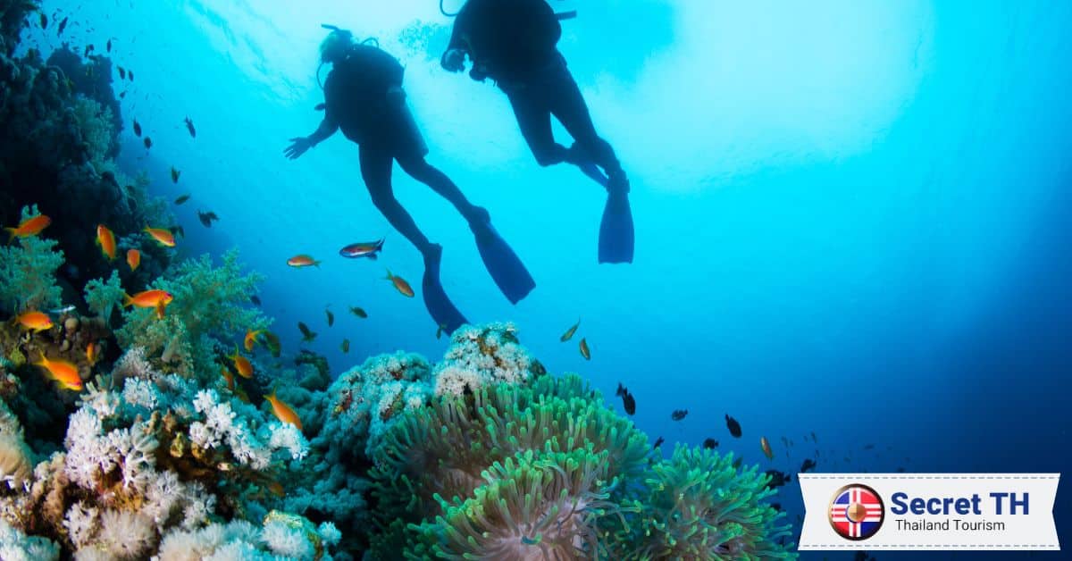 2. Scuba Diving