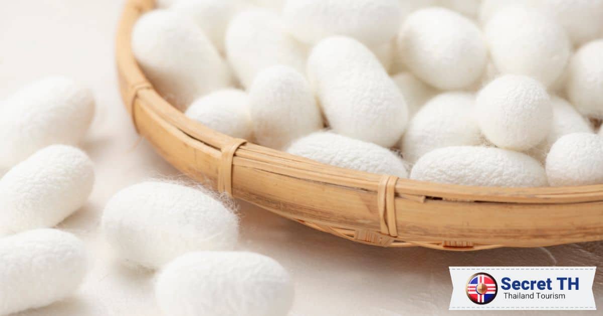 Harvesting Silk Cocoons