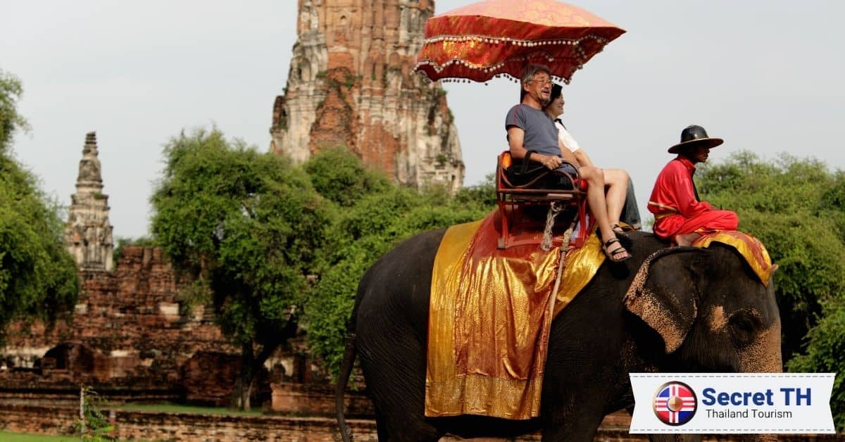 Tip 2: Participate in Elephant Related Activities
