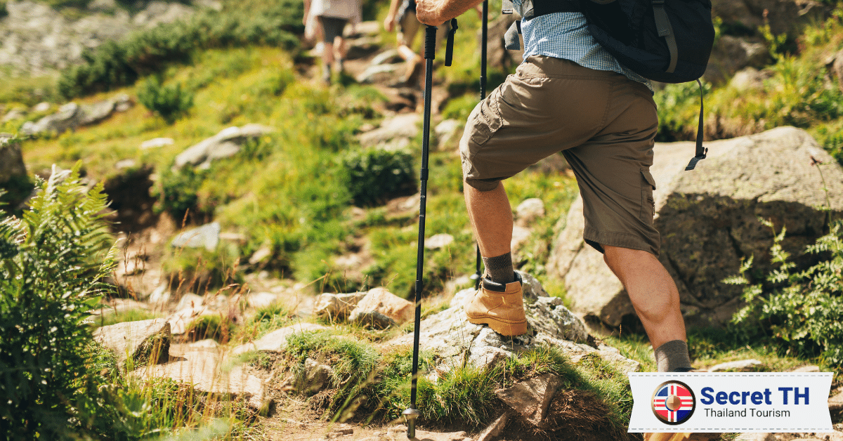 3. Hiking