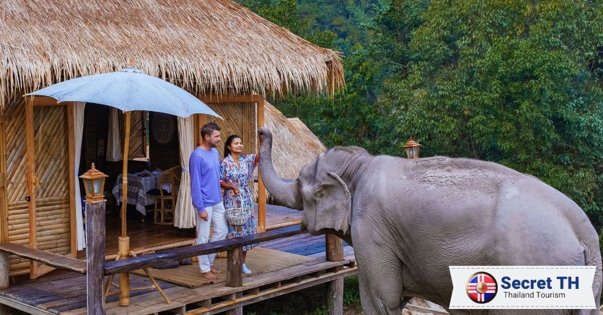 3. Happy Elephant Home