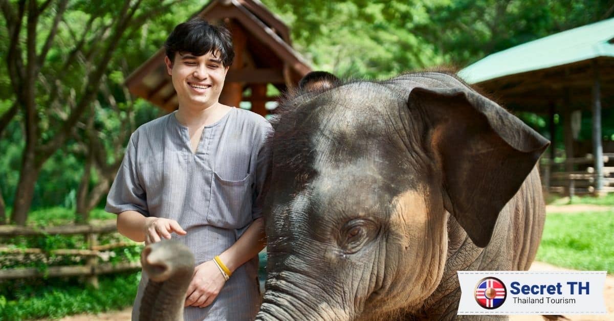 4. Karen Elephant Experience