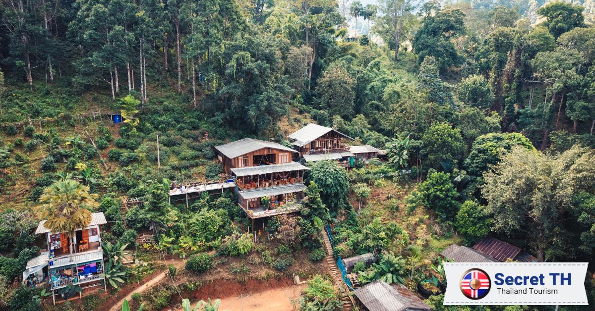 VI. Homestay Chiang Rai
