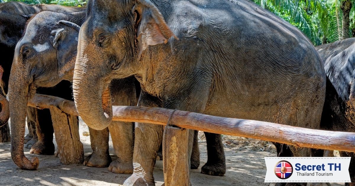 6. Elephant Jungle Sanctuary