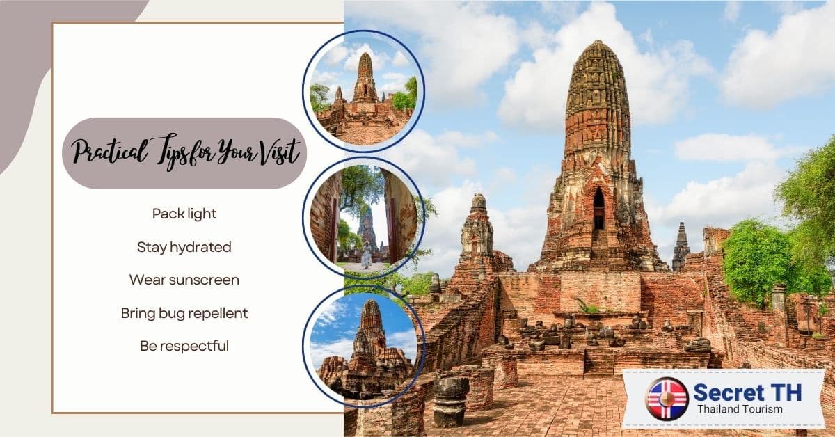 Practical Tips for Your Visit