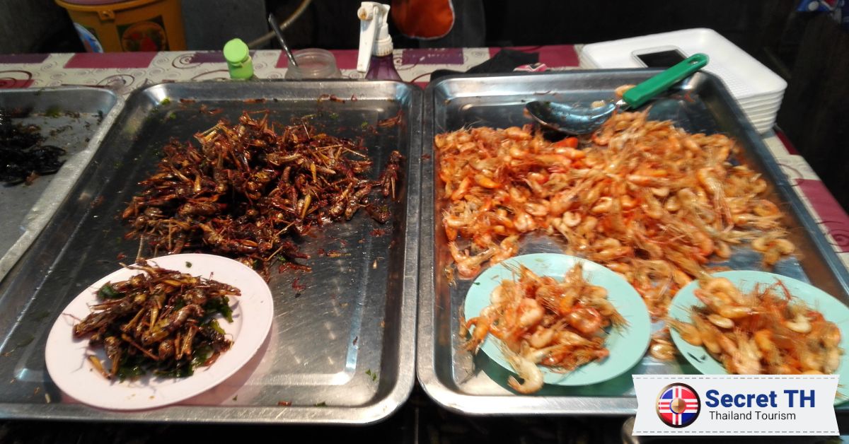 Edible Insects