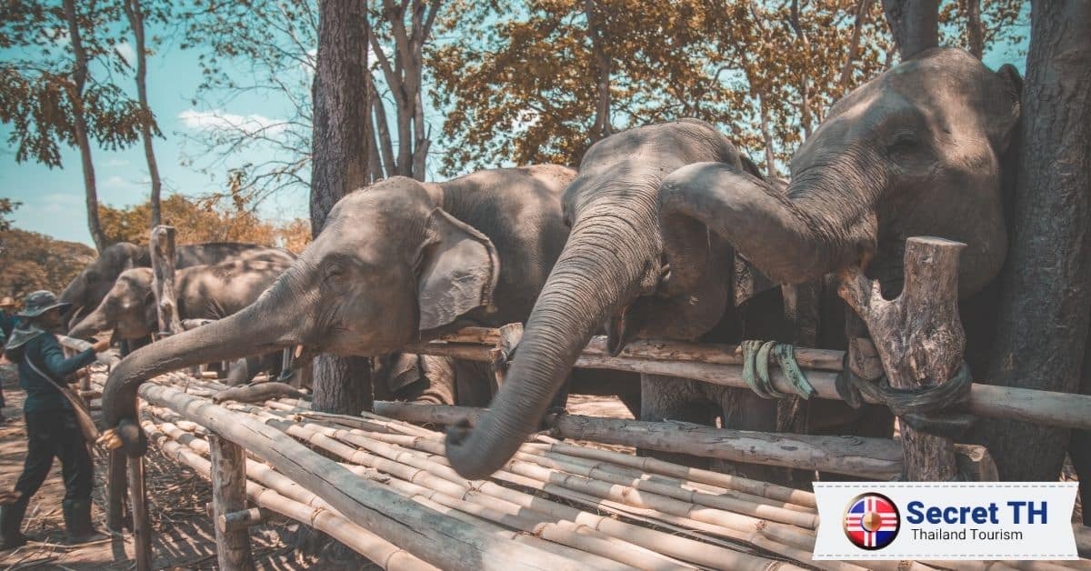 Reason 8: Animal Sanctuaries