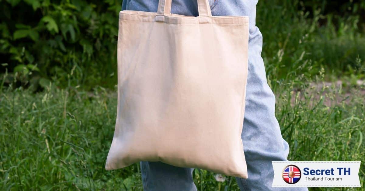 Tip 8: Bring a Reusable Bag