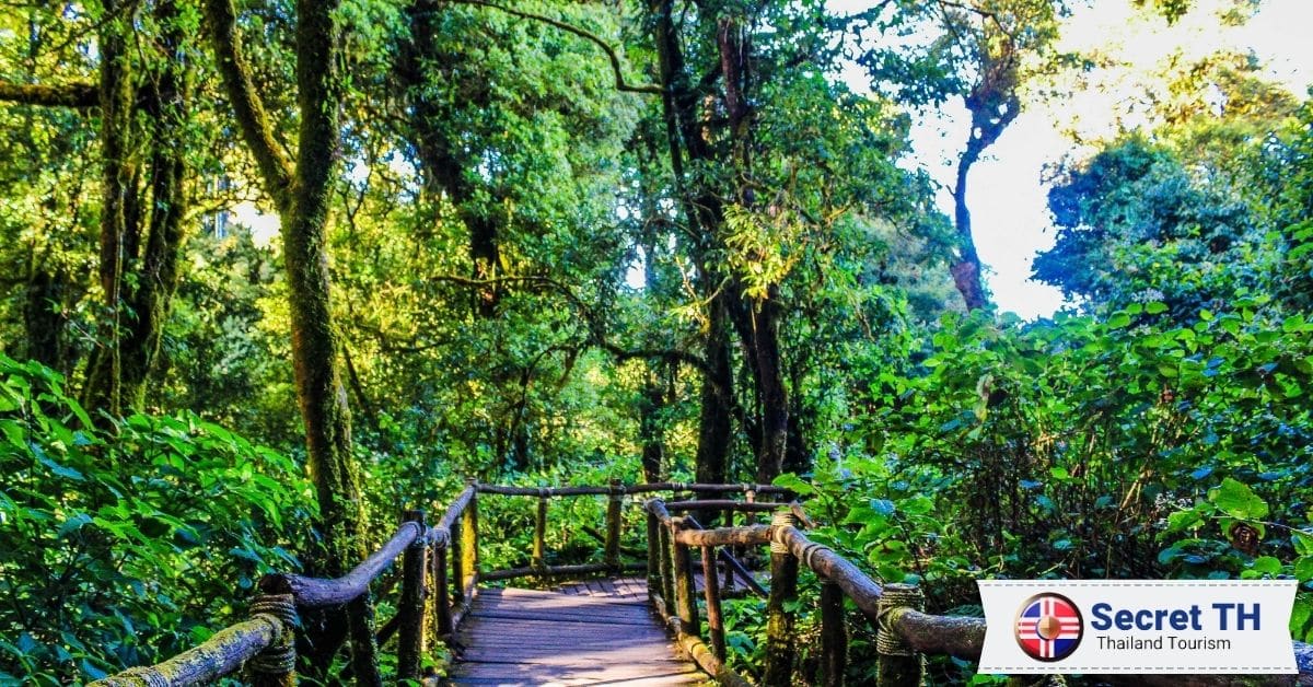 Doi Inthanon National Park