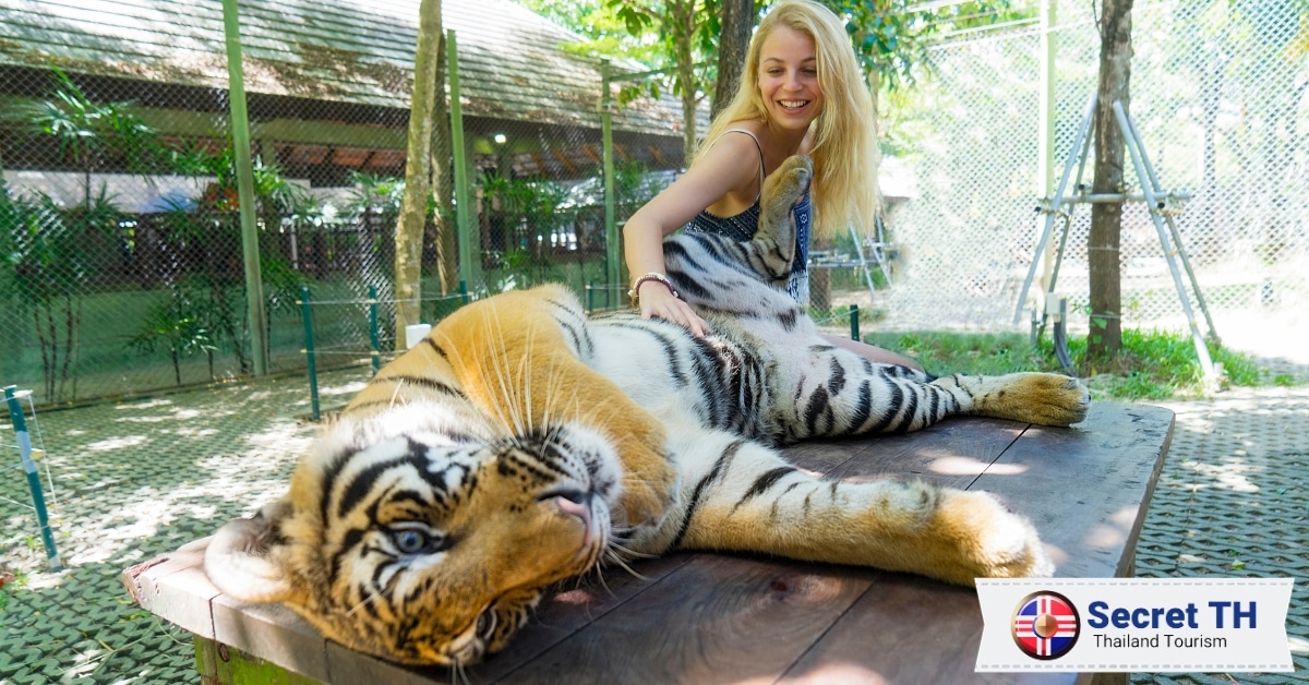 Avoid Petting & Feeding the Animals