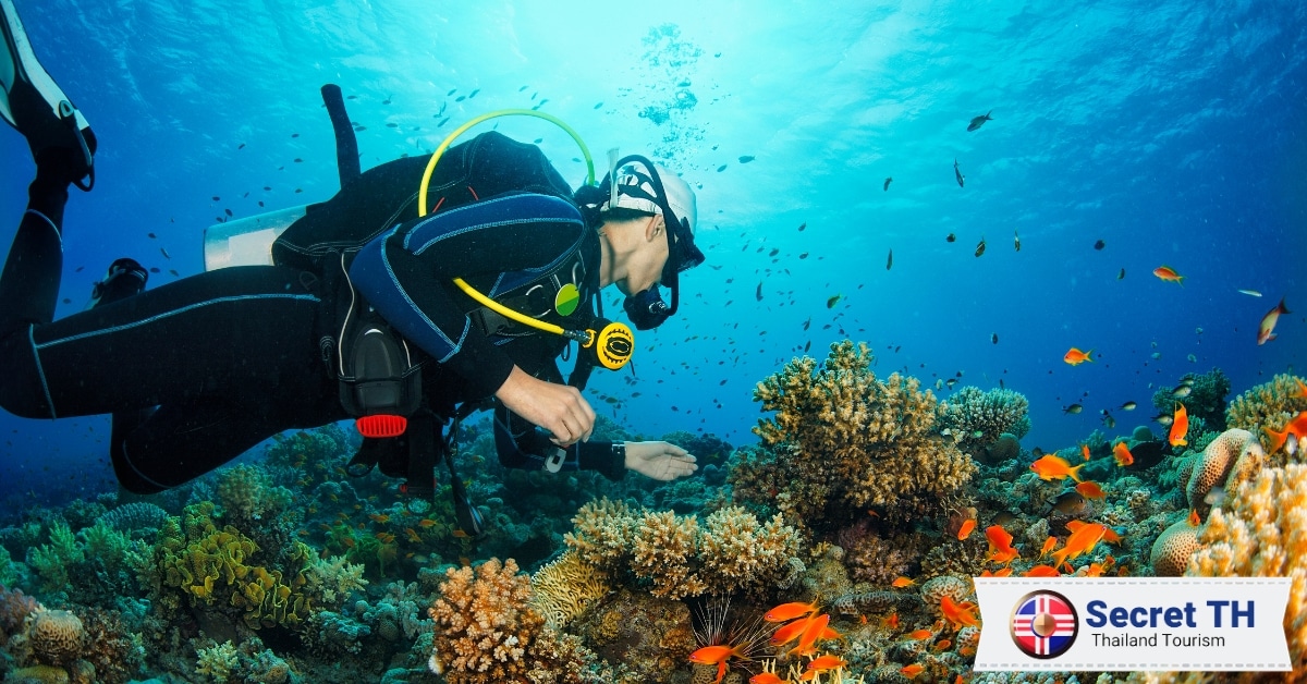 Get Scuba Certified