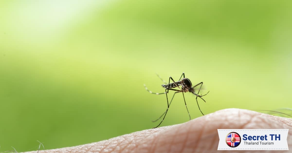 Protect from Mosquitoes