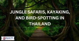 Jungle Safaris, Kayaking, and Bird-Spotting in Thailand