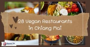28 Vegan Restaurants in Chiang Mai