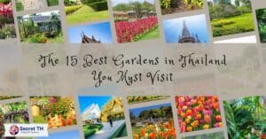 The 15 Best Gardens in Thailand You Must Visit