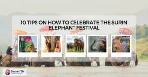 10 Tips on How to Celebrate the Surin Elephant Festival