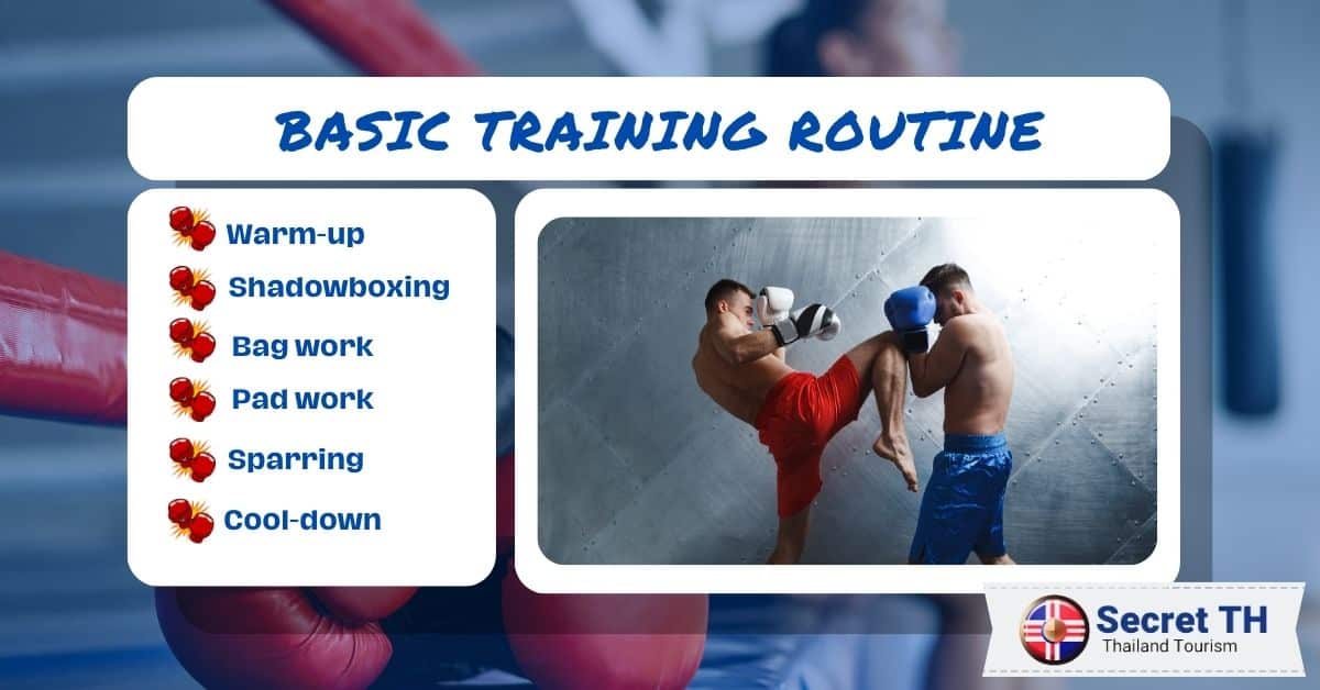 Basic Training Routine