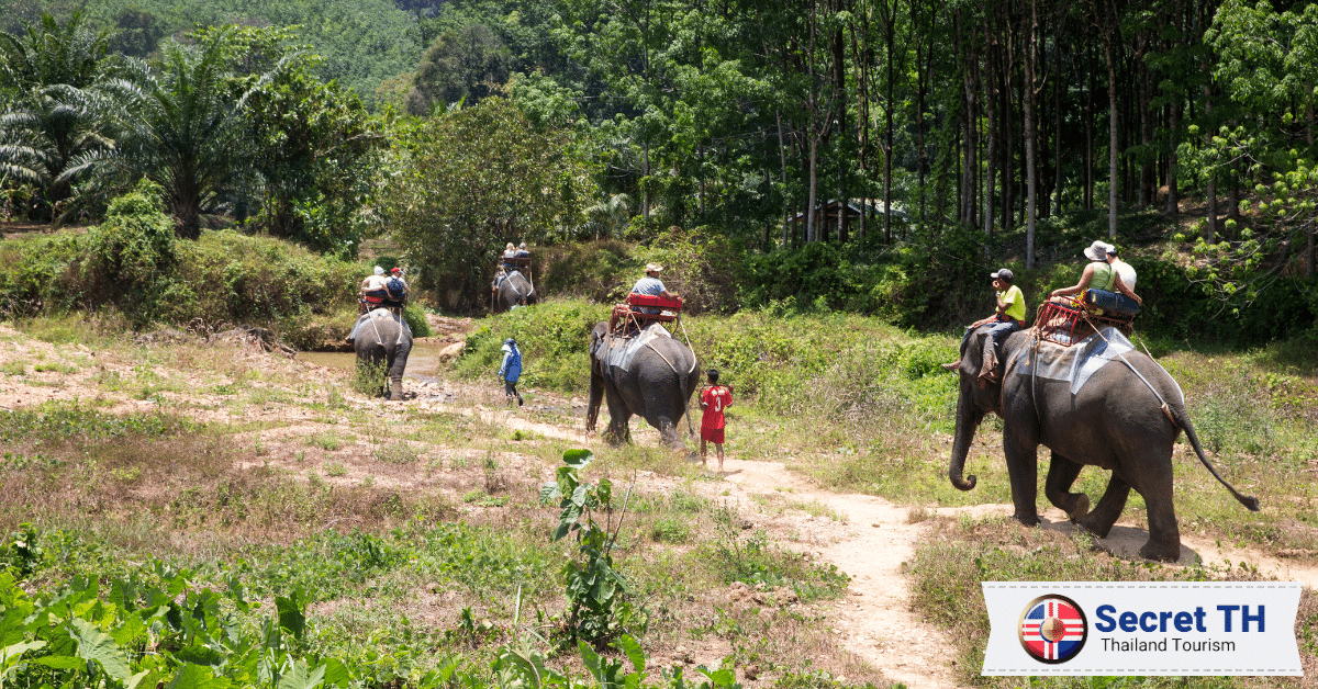 5. Elephant Trekking