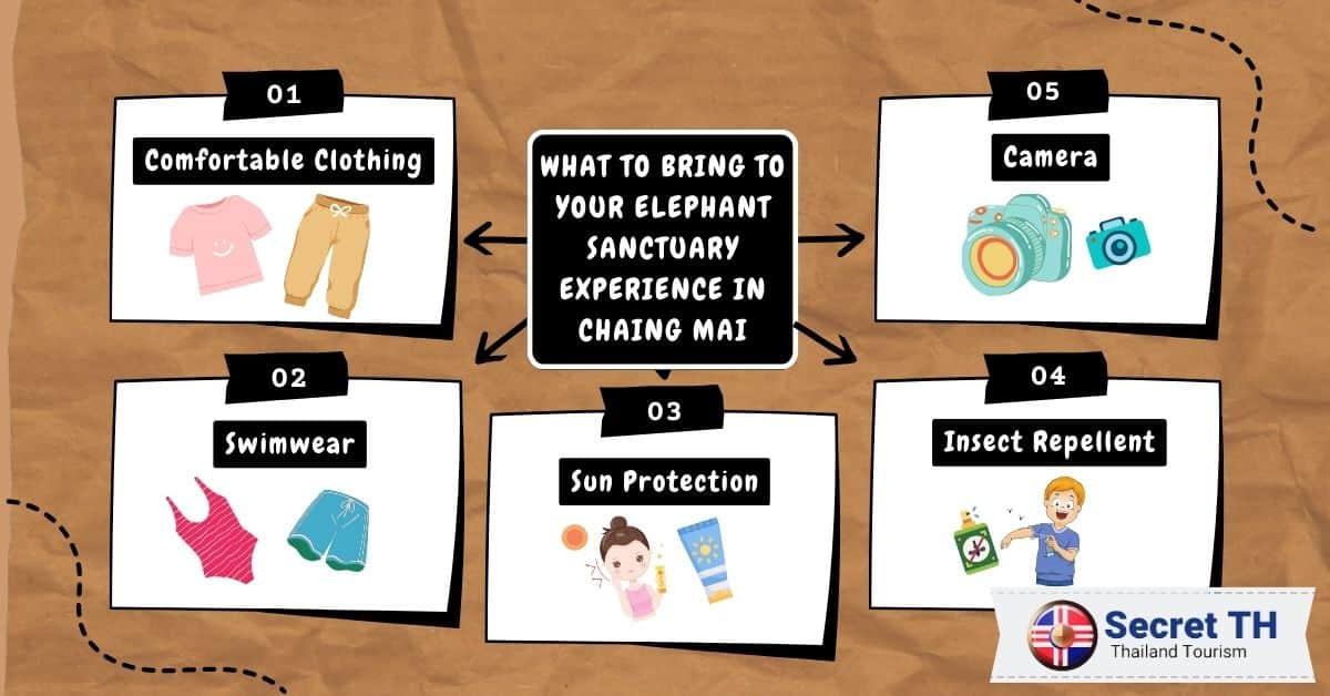 What To Bring To Your Elephant Sanctuary Experience In Chaing Mai